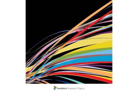 New book on defensive functioning includes study on Acem Meditation